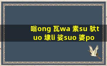 嗡ong 瓦wa 素su 驮tuo 埭li 娑suo 婆po 诃he